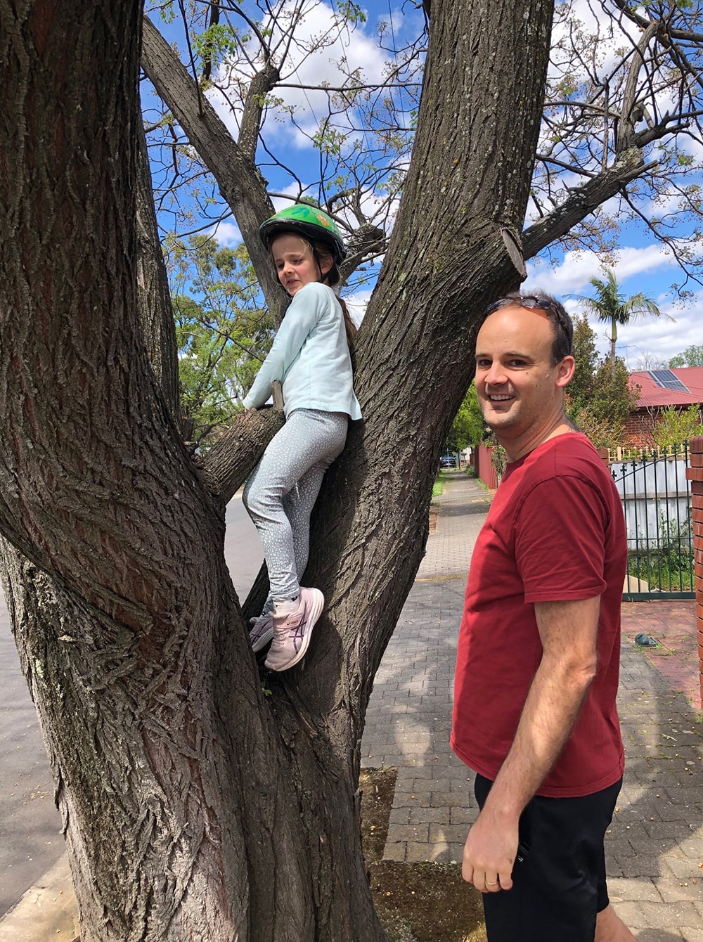 Tree Climbing